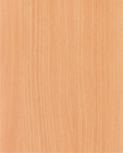 Бук светлый