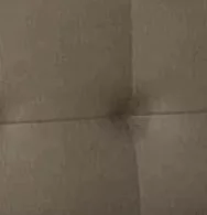 Сафари Стоун