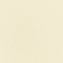 BEIGE (бежевый)