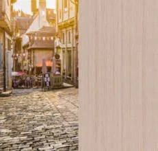 Улица/Молочный дуб