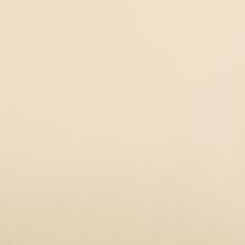 Светлый беж