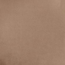 Бежевый barkhat 5