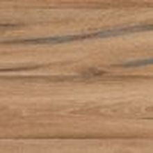 Дуб Альпийский