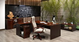 Кабинет Morris от Skyland