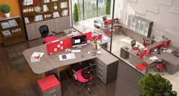 Для персонала Xten от Skyland