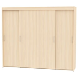 Шкаф-купе T-5-198х235х45(ДМ-11)