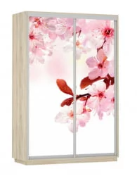 Шкаф-купе двухдверный Экспресс Дуо 1400х2400h Сакура/Дуб сонома