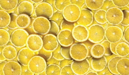 Стол обеденный Европейский фп Лимон Е001 ЛДСП серый