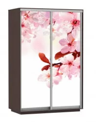 Шкаф-купе двухдверный Экспресс Дуо 1600х2200h Сакура/Венге