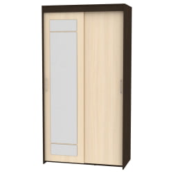 Шкаф-купе T-1-230х120х60-M(Венге-ДМ-2)