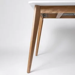 Стол обеденный Пегас Plus 120x75 Морилка Орех Эмаль белая