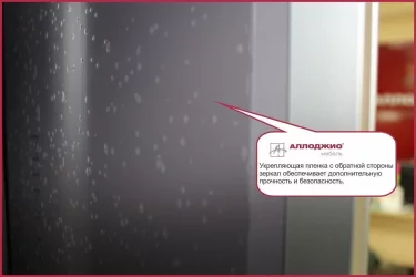 Шкаф-купе венге Хит-24-14-11 Аруба Венге