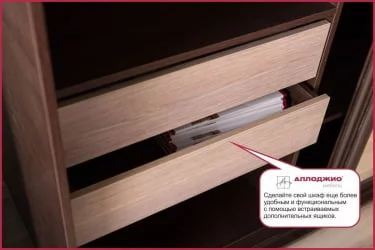 Шкаф-купе эконом Хит-24-12-77 Орхидея Ясень шимо темный