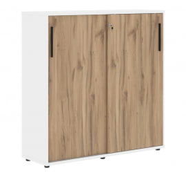 Шкаф с дверьми-купе EDIS EMC 1343 Дуб Денвер светлый Черный Белый