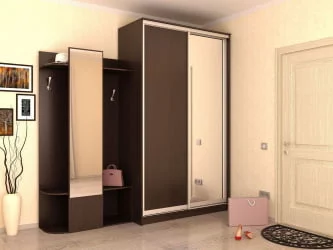 Двустворчатый гардеробный шкаф Хит-23-12-15 Аруба Венге