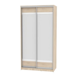 Шкаф-купе B-220х120х60-1(ДСС-D10D10)