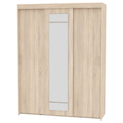 Шкаф-купе T-3-230х175х60-M(ДСС-8)