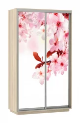 Шкаф-купе с фотопечатью Экспресс Дуо 1200х2400h Сакура/Ясень шимо светлый