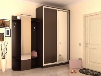 Двустворчатый гардеробный шкаф Хит-24-14-15 Аруба Венге