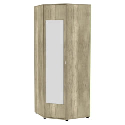 Шкаф распашный Алиса(H6_M2)2230х854х854сторцевойручкой(ДКМ)