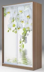 Шкаф-купе эконом Хит-24-12-77 Орхидея Ясень шимо темный