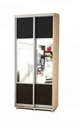 Шкаф-купе Уголок школьника (двухдверный) Дуб беленый Туя светлая