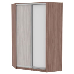 Шкаф-купе YA-230х1400-718-1(ЯШТ-ЯШС-D6D5)