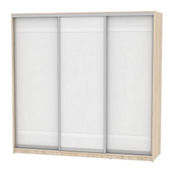 Шкаф-купе B-220х235х60-3(ДСС-Белый-D9D9D9)