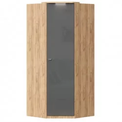 Угловой гардеробный шкаф Фиджи ЛД 659.244.000 Дуб Золотой Антрацит