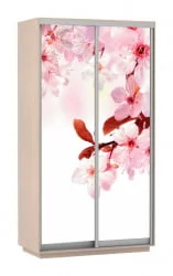 Шкаф-купе двухдверный Экспресс Хит Сакура/Дуб молочный