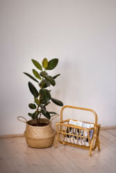 Газетница 17/13 венге матовый