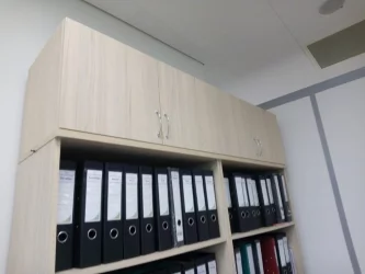 Настенный шкаф Twin 16.13.131 Туя