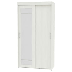 Шкаф-купе T-1-230х120х60-M(ВД-2)