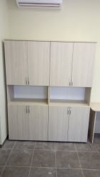 Шкаф высокий закрытый с нишей Glassy 6.19.111 Туя