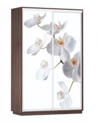 Шкаф-купе с фотопечатью Экспресс Дуо 1400х2200h Белая орхидея/Венге