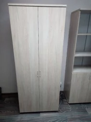 Шкаф для одежды глубокий Twin 16.17.302 Дуб Сантана светлый