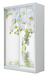 Шкаф купе 2-ух дверный Хит-23-12-77 Орхидея Белая шагрень