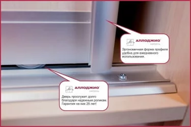 Шкаф-купе эконом Хит-23-17-55 Ясень шимо темный