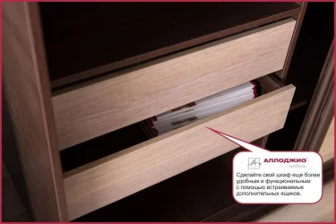 Шкаф-купе Хит-23-14-77 Париж Ясень шимо темный