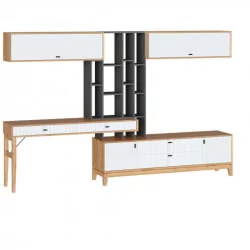 Тумба ТВ комбинированная Бари ЛД 698.070.000 Дуб Золотой Оникс серый Белый