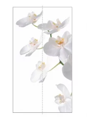 Шкаф-купе двухдверный Экспресс Дуо 1200х2400h Орхидея белая/Дуб сонома