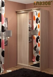 Шкаф купе 2-ух дверный 3 Домашний Композиция Ясень Шимо