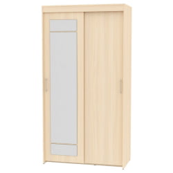 Шкаф-купе T-1-230х120х60-M(ДМ-2)