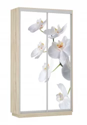 Шкаф-купе двухдверный Экспресс Дуо 1200х2400h Орхидея белая/Дуб сонома