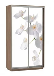 Шкаф-купе с фотопечатью Экспресс Дуо 1200х2200h Орхидея белая/Ясень шимо тёмный