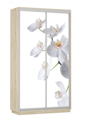 Шкаф-купе двухдверный Экспресс Хит Орхидея белая/Дуб сонома_0