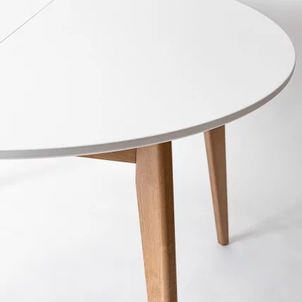 Стол обеденный Орион Plus 100x100 Эмаль белая Морилка Орех_1