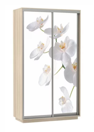Шкаф-купе двухдверный Экспресс Дуо 1200х2200h Орхидея белая/Ясень шимо светлый_0