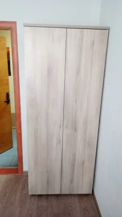 Шкаф для одежды Р.Ш-5 Дуб Кронберг_4