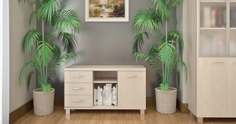 Кабинет First №5_2